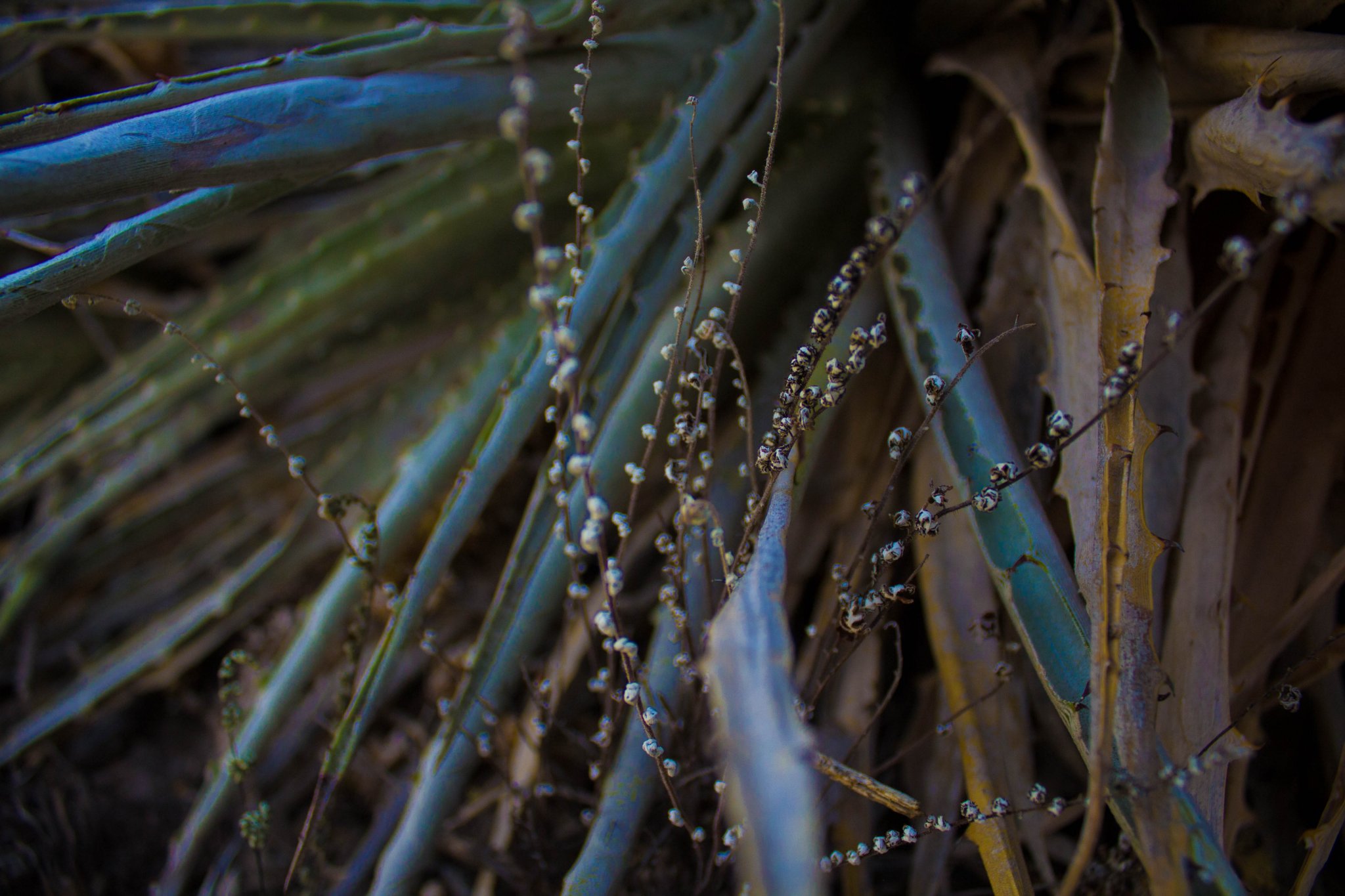 lu_quesada's profile banner image