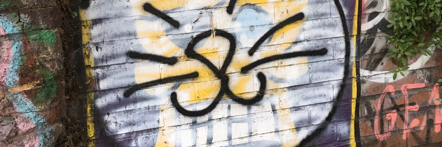 LeftyRedCat's profile banner image