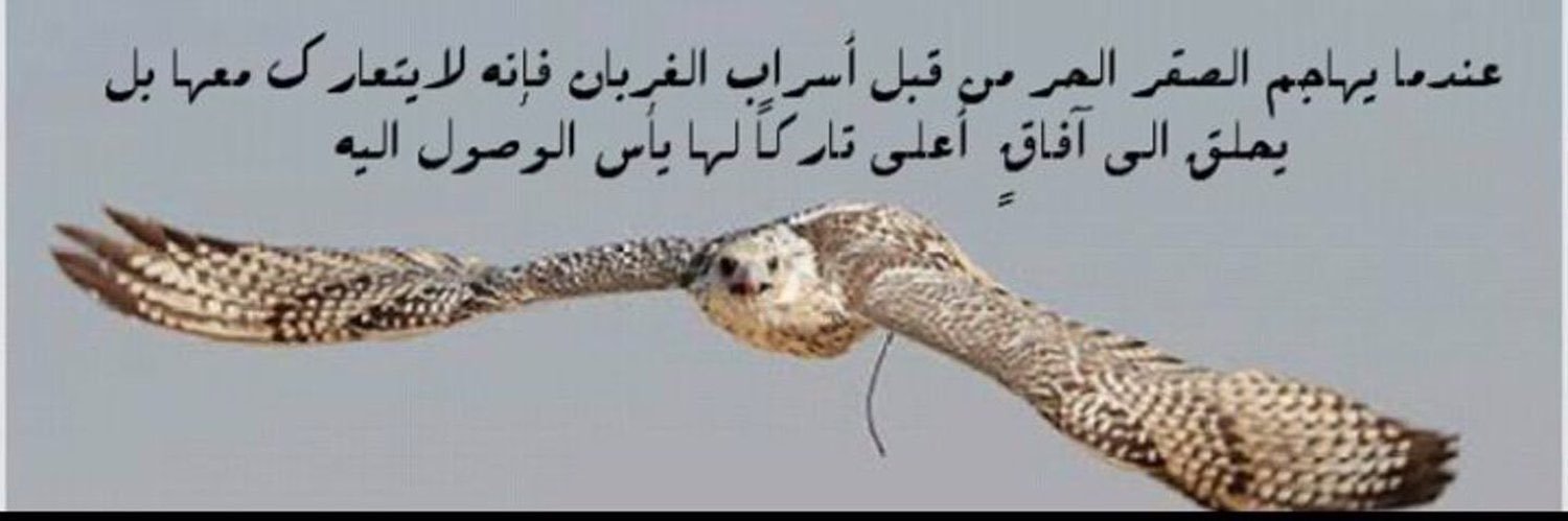 RashedAlmarri's profile banner image