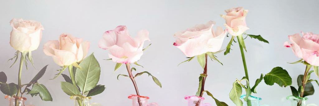 3291_ars's profile banner image