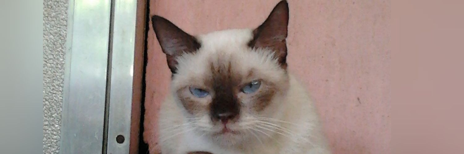 ItsMeJohen's profile banner image