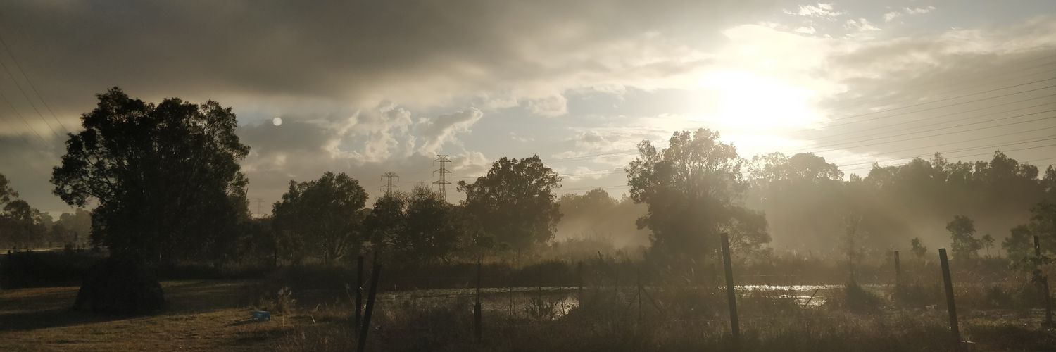 Freekoi's profile banner image