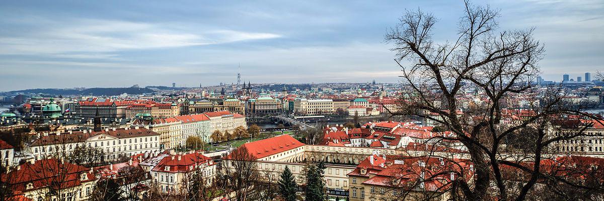 voronzof's profile banner image