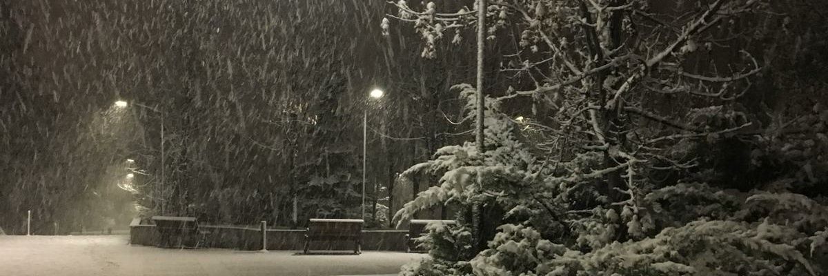 mrayvenli's profile banner image