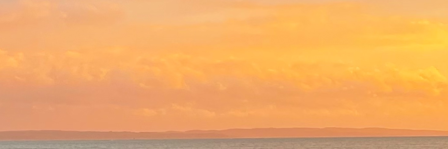 Olivier Manuel banner