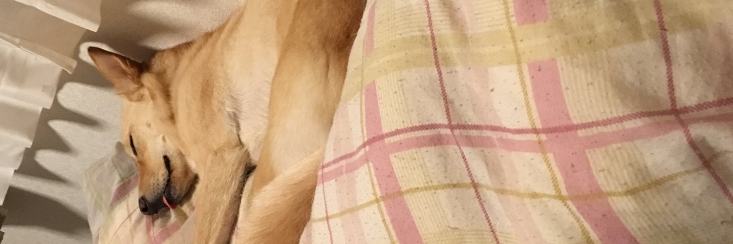 maybe_prime's profile banner image