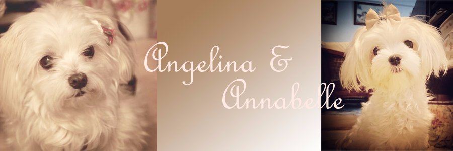 luvangelinaluv's profile banner image