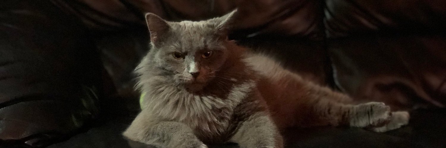 Michael Stanford 🇺🇸🇺🇸🌻🌻 banner