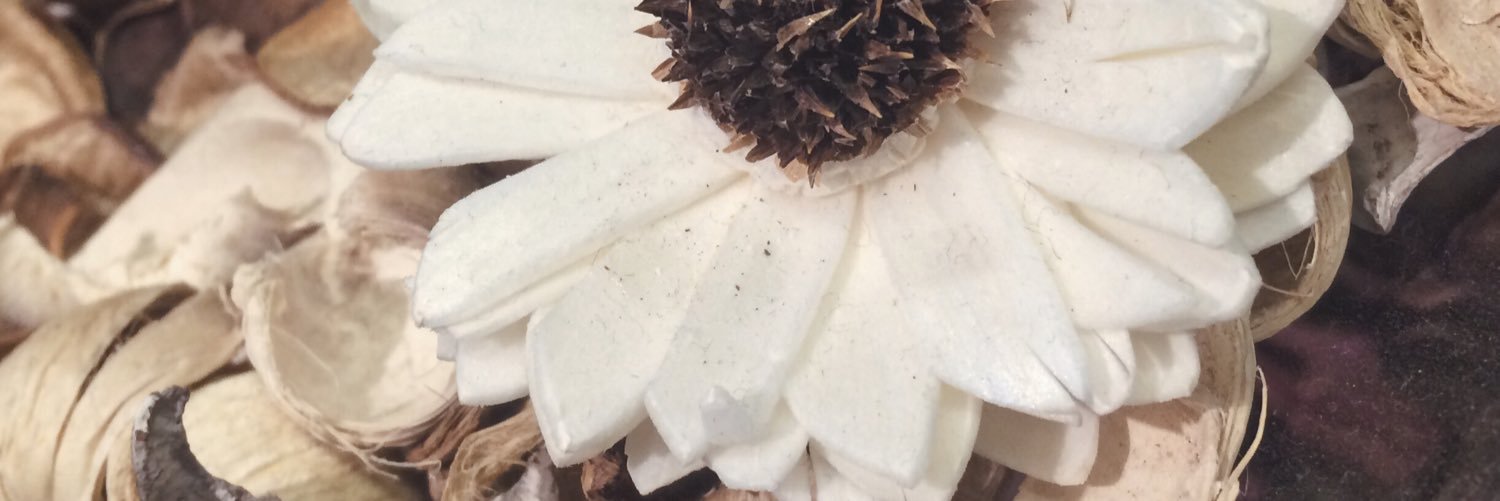ntmsw_'s profile banner image