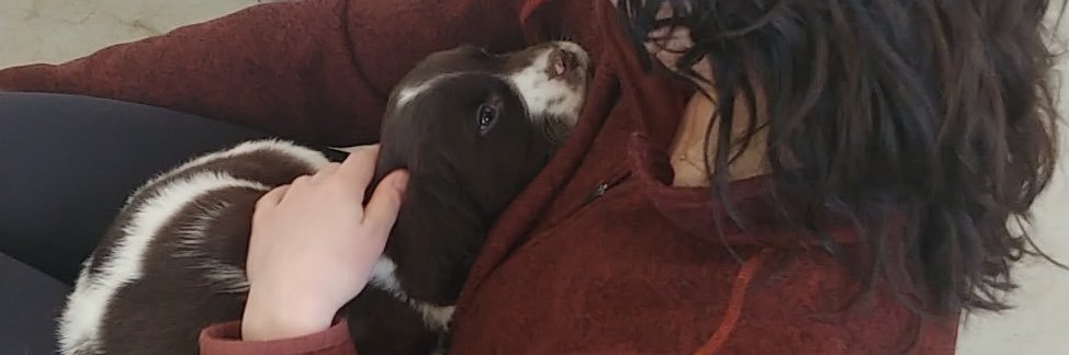 kelseysquid's profile banner image