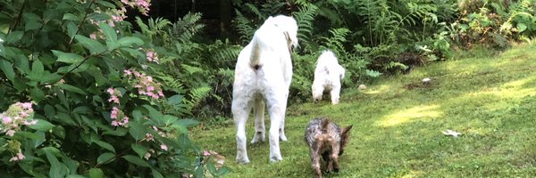 karinmrh Profile Banner