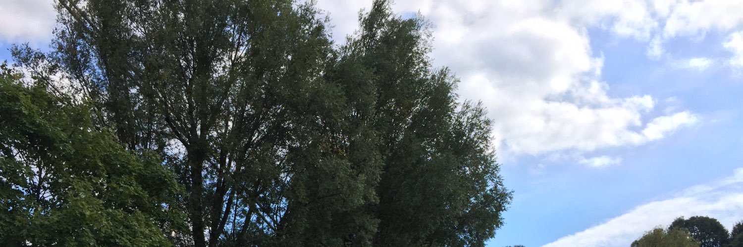 wadsafwa's profile banner image