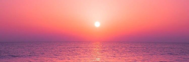 alondra768's profile banner image