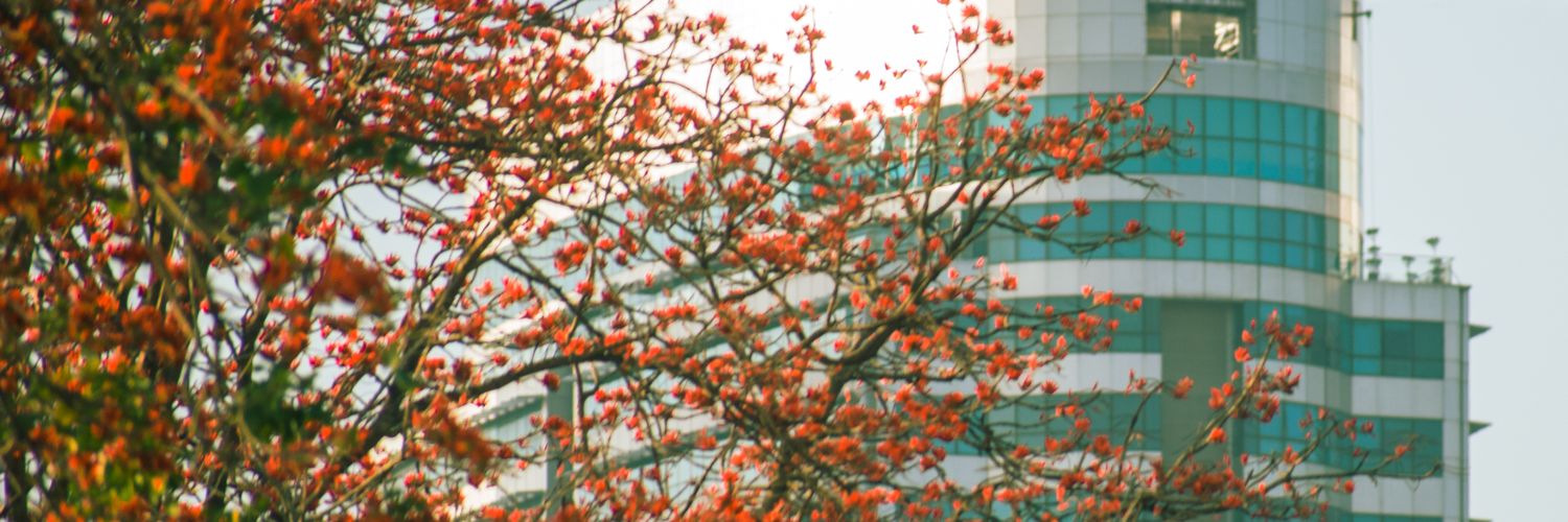 MeinNajam's profile banner image