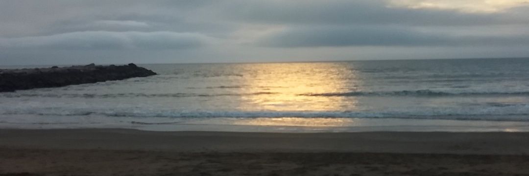 CandePellet's profile banner image