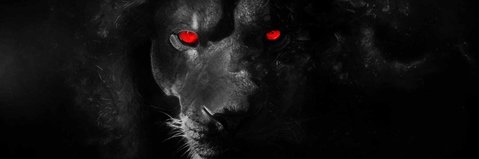 Modorak_mod's profile banner image