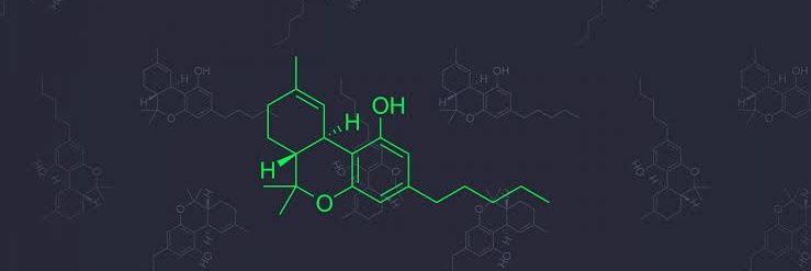 cloudpapi420's profile banner image