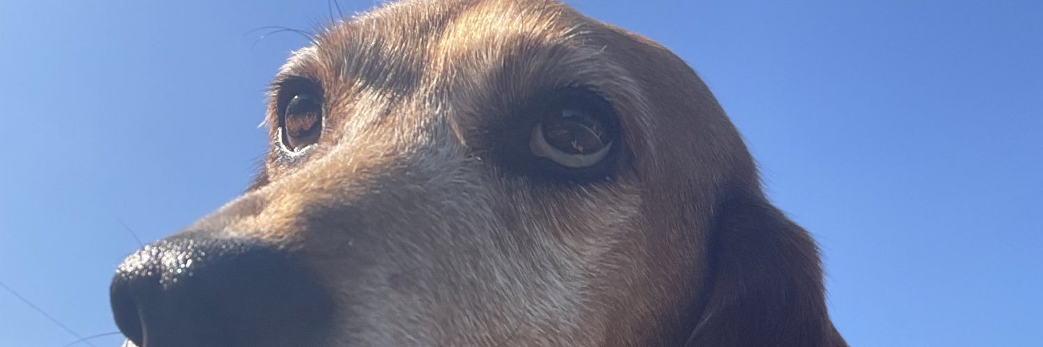 vicktur's profile banner image