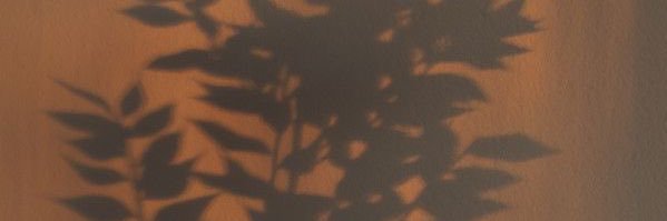 MacKenzieSharpe banner