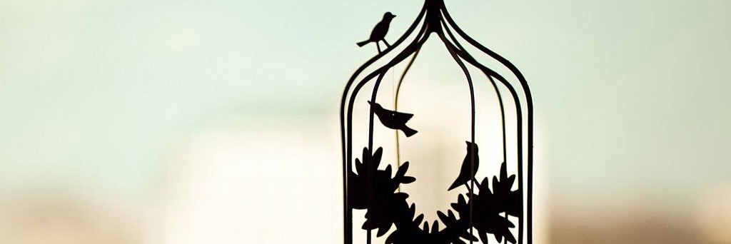 ma_xchobi's profile banner image