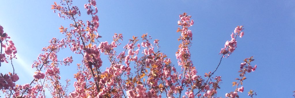 emmma__w's profile banner image