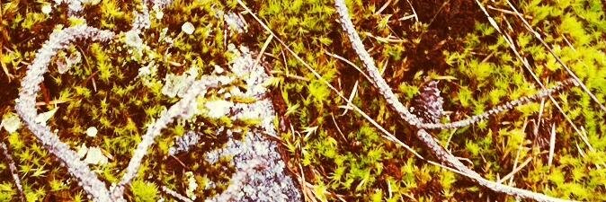 MiriamTratt's profile banner image