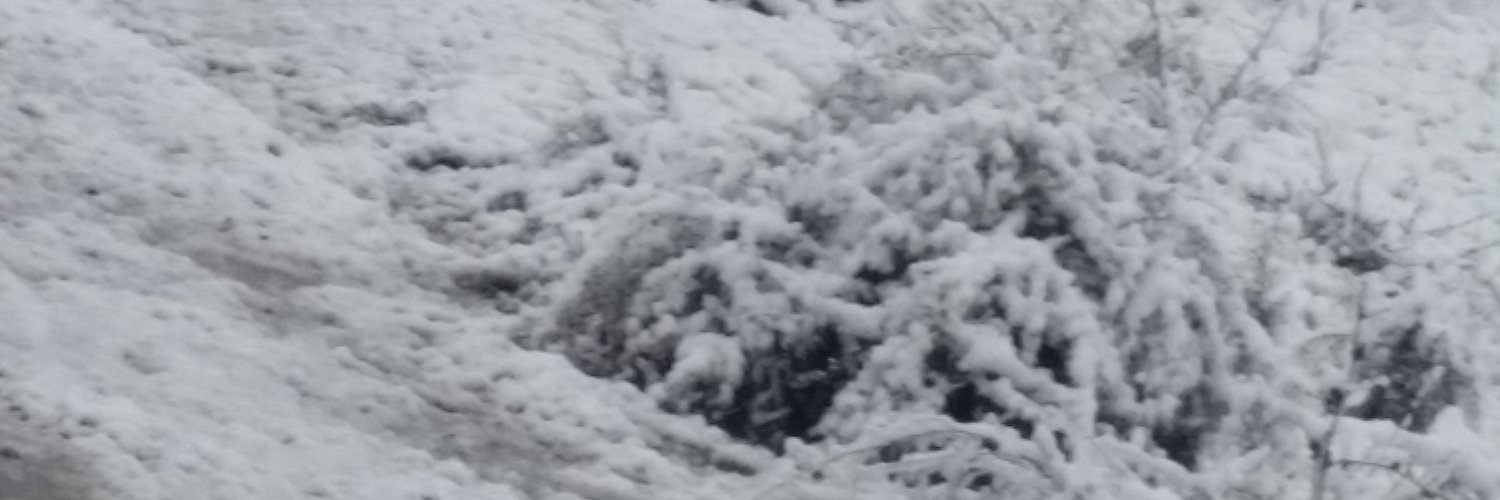 logioselefas's profile banner image