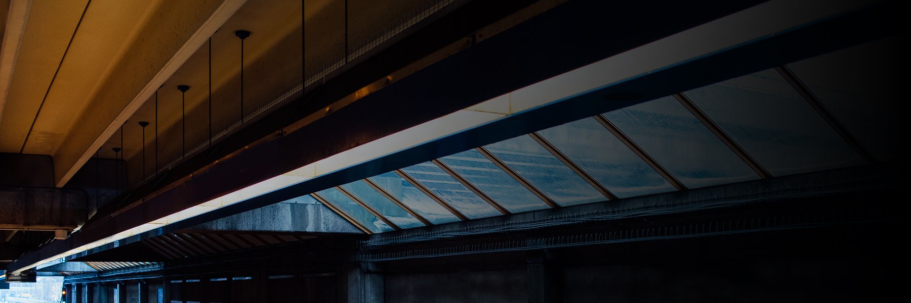 Aurganic's profile banner image