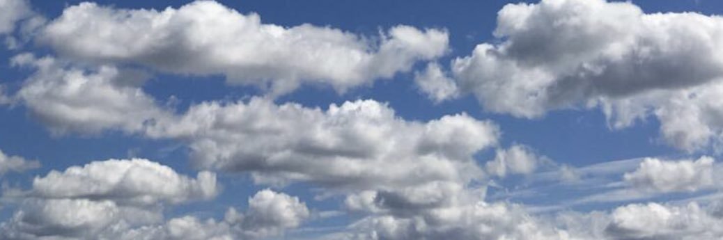 mfrutch's profile banner image