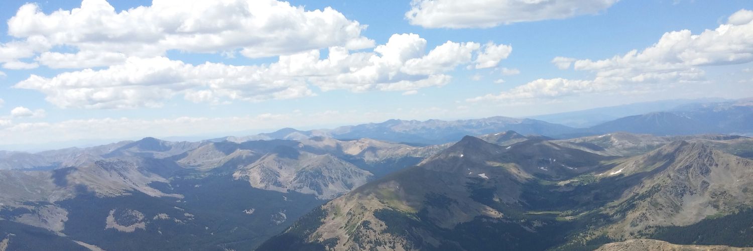 thegrapestape's profile banner image