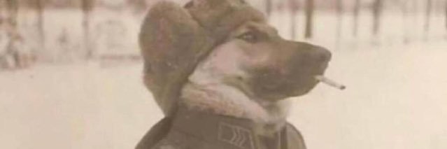 poecbj's profile banner image