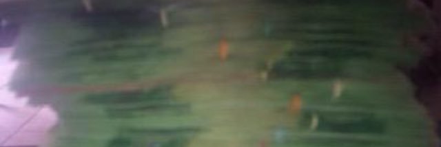 bizzlemane1's profile banner image