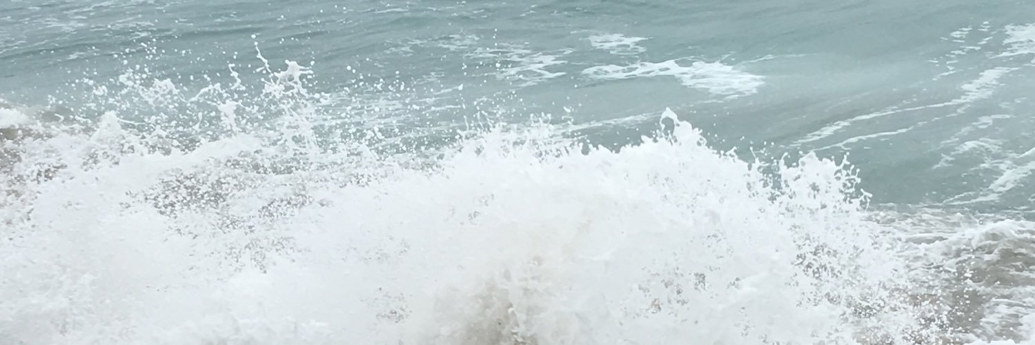PonieD's profile banner image
