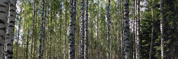 annikaforsten Profile Banner