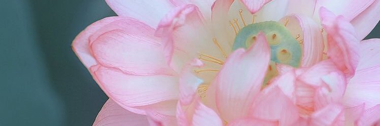 sandypham_99's profile banner image