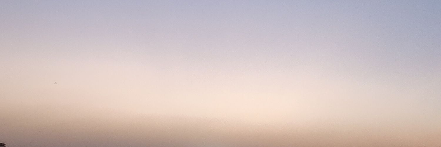 aayushi155's profile banner image