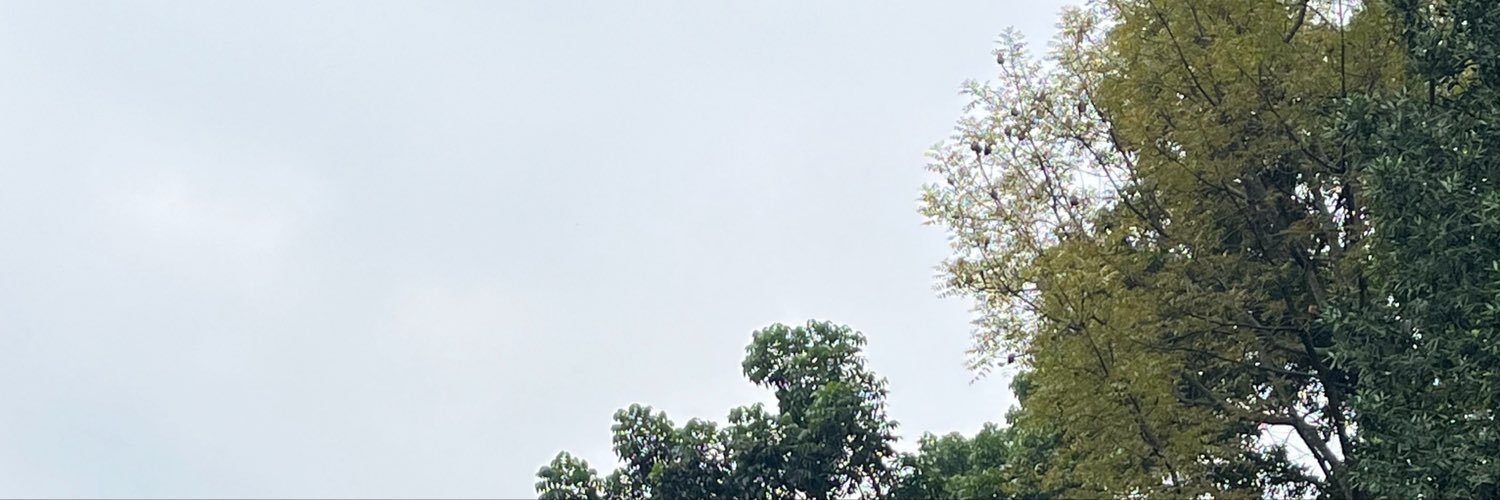mingkibo's profile banner image