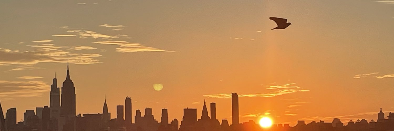 Brandon Shane banner