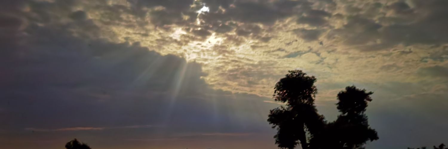 Norbert_GANAVA's profile banner image