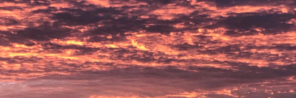 OB0389's profile banner image