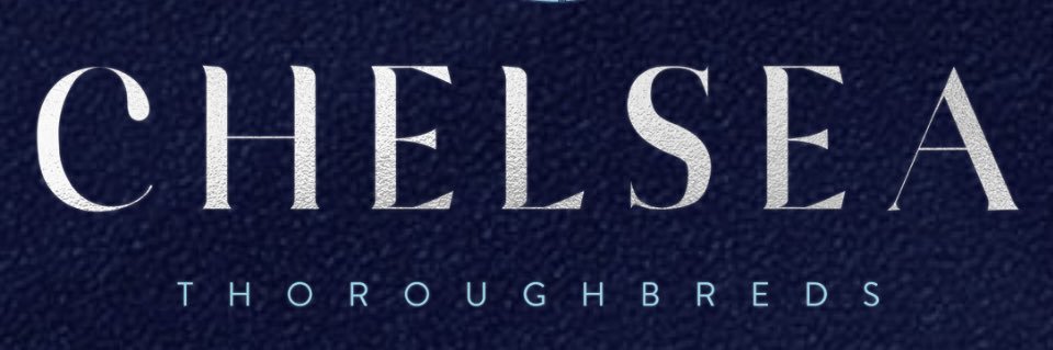 ChelseaThoroughbreds banner