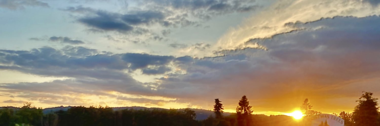 namaylime's profile banner image