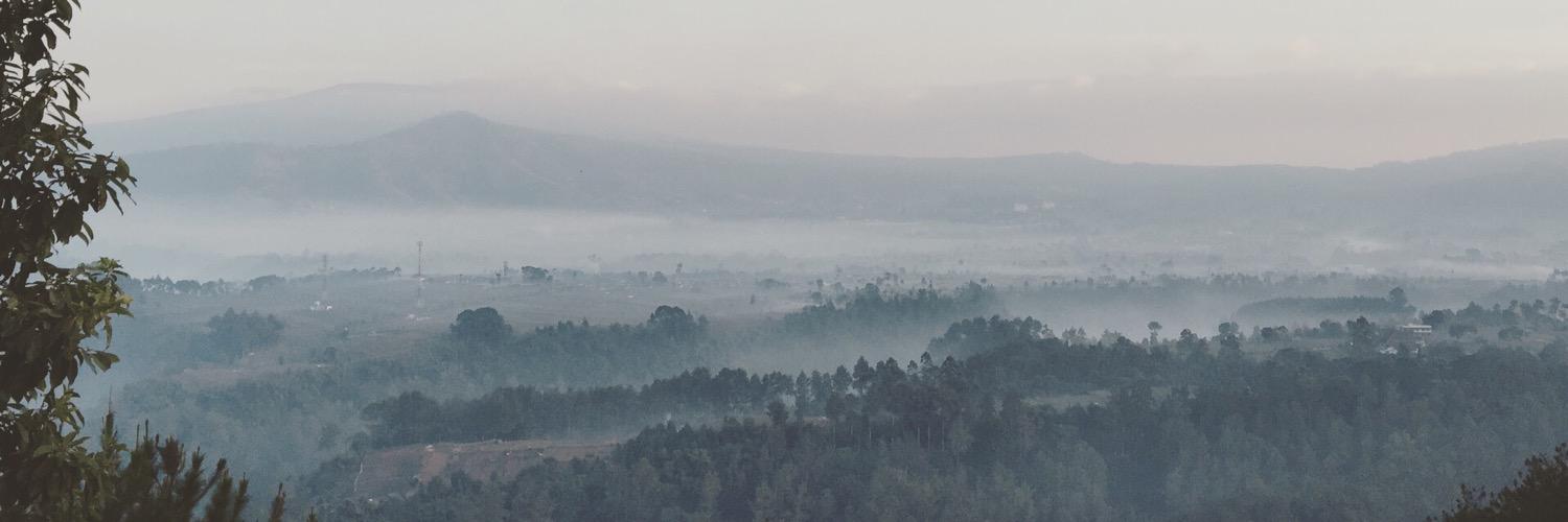 kathiewong's profile banner image
