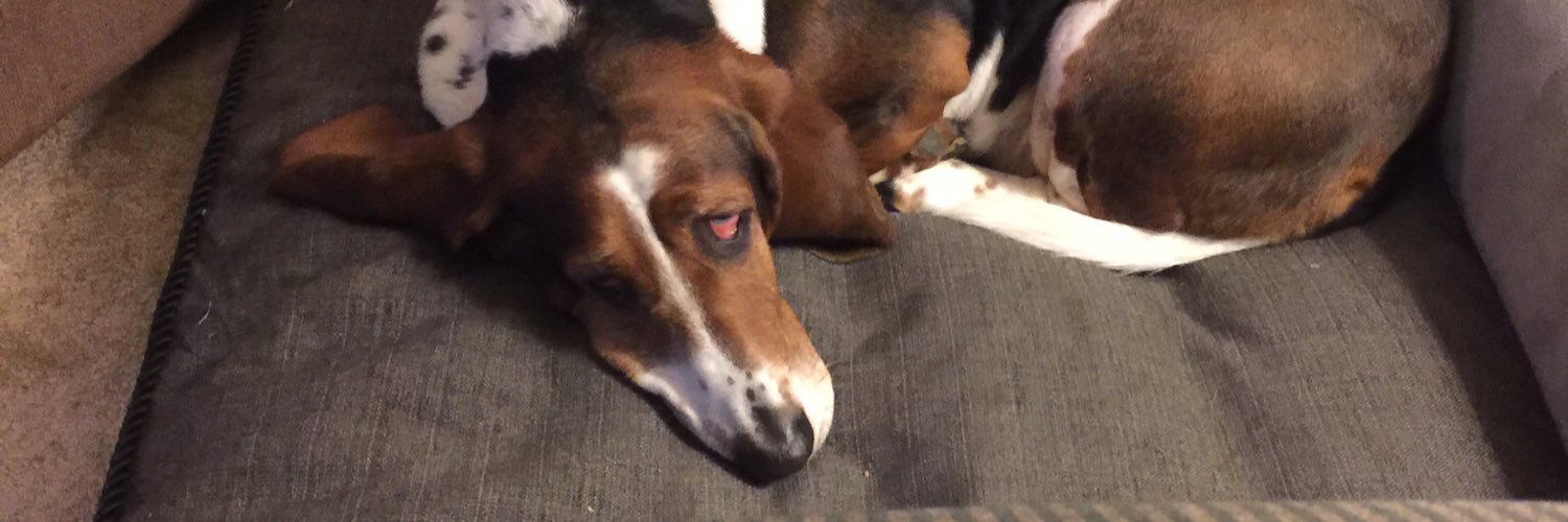 Bill Beachler banner