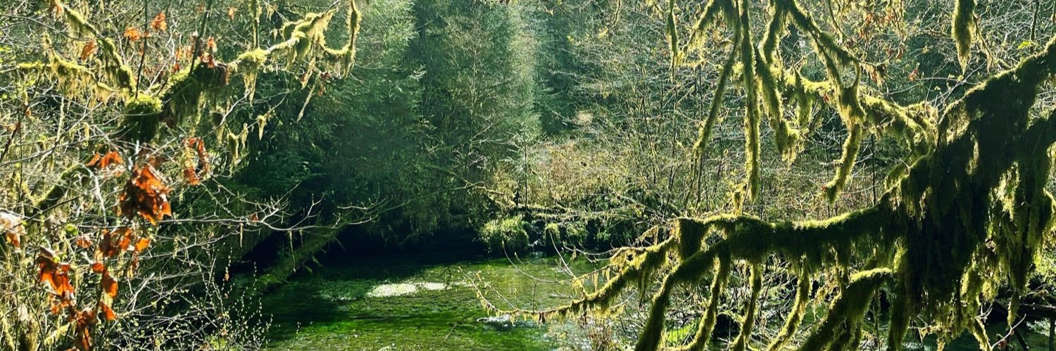 kramre69's profile banner image