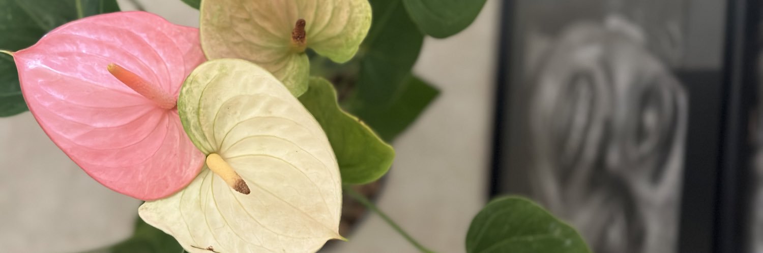 رها چو باد 🇮🇷 banner