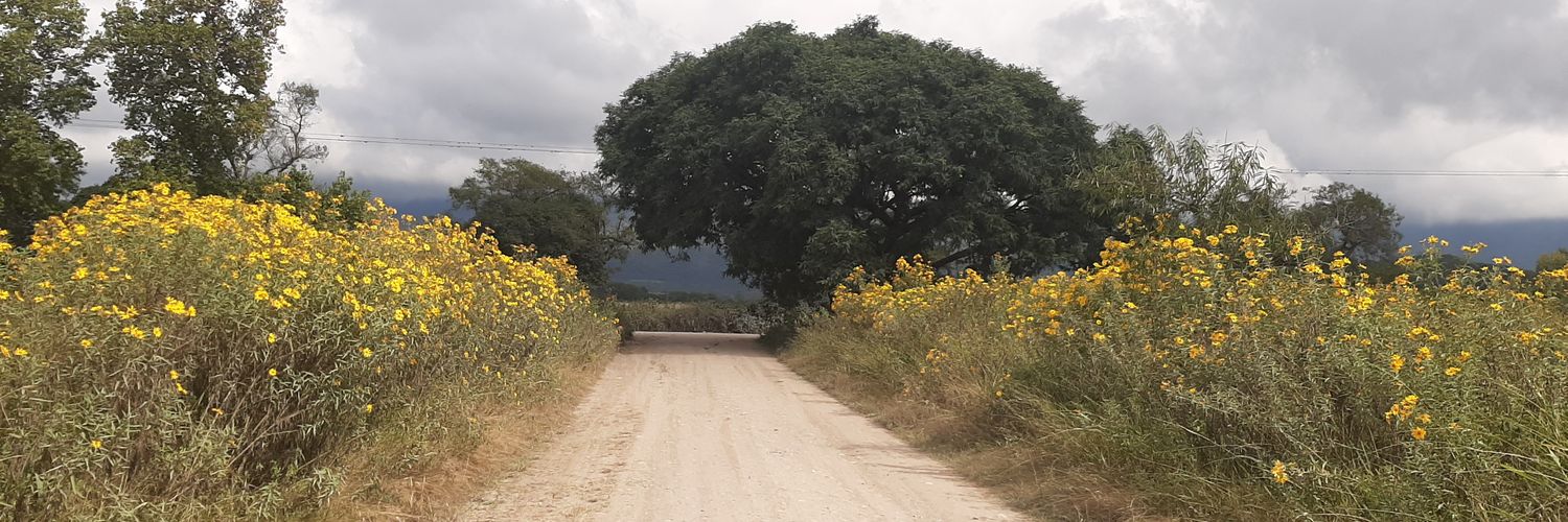 martalitos's profile banner image