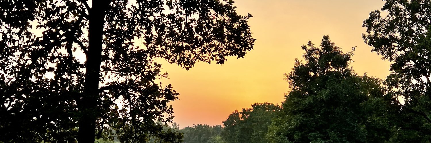PrateekInNature's profile banner image