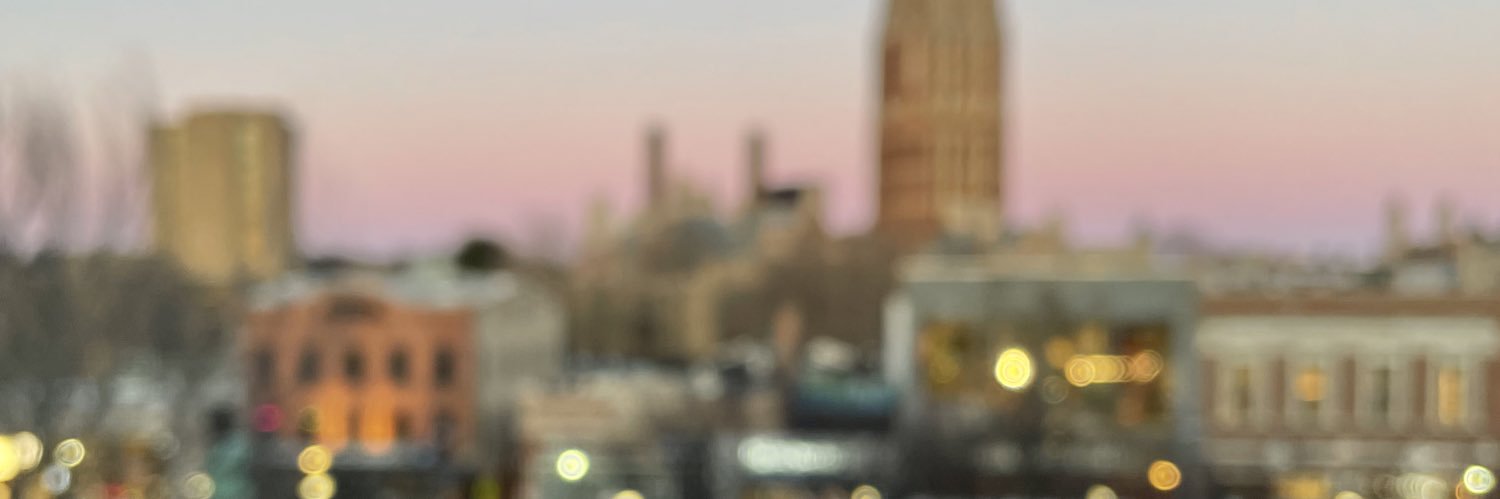 strelsovie's profile banner image
