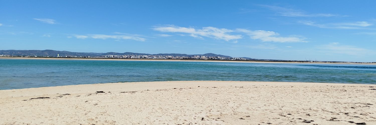 Alexandre Figueira banner